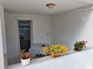 Komfortables Apartment in Rovinj und nur 500 Meter zum Strand mit privater Terrasse