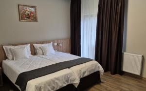 SELBIT - Șesul domniței