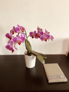 Alfama Amazing Tagus Views AirCon