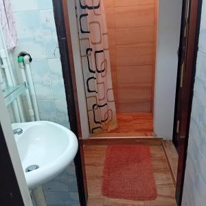 Apartment Viktor stan na dan