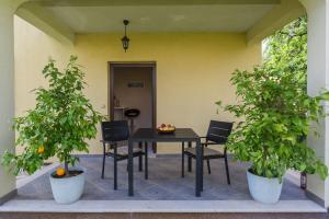 Hundefreundliches Paradies mit Pool, Spielplatz, Grillbereich, privater Terrasse 