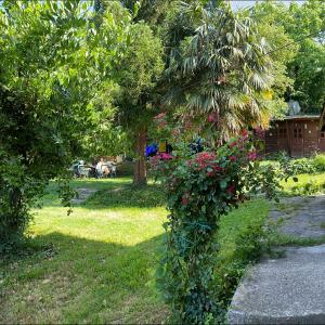 Rahat bahçeli polonezköyde butik evimiz