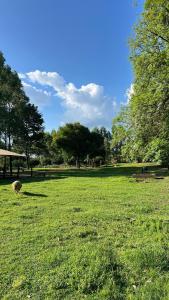 Cabañas Mi Querido Viejo