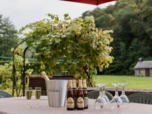Maisons de vacances Gite Basilic Havre de Paix pour 7 Personnes au Coeur de la Nature et pres de la Meuse : photos des chambres