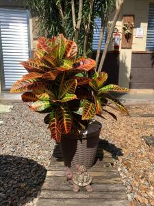 Pousada Recanto dos Pássaros