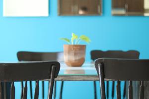 Cómoda y Acogedora Casa cerca de Av Torreón Nuevo