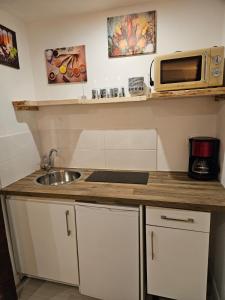 Petit STUDIO STAR CHAMONIX HYPER CENTRE