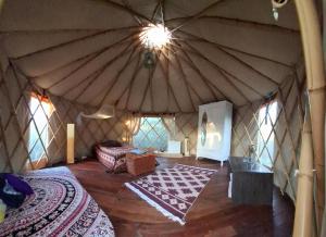 Terra Cristal - Amatista