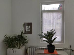 Apartman - kuca za odmor Slatina