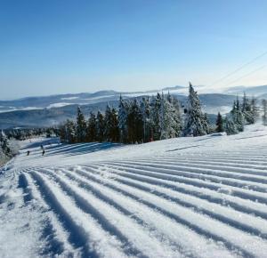 APARTAMENTY Adamcykówka blisko stoku Czorsztyn-Ski! Jacuzzi i Sauna w cenie!