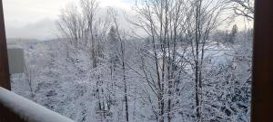 Apartament z prywatną sauną, 300 m do Szrenica Ski Arena