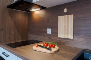 Apartament Nowe Centrum