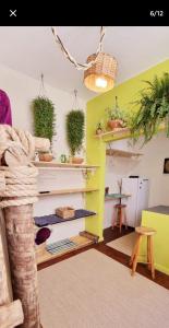 Apartamento Leblon- RJ