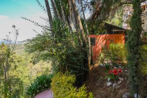 San José del Pacífico- Cabañas Camino al Cielo 4