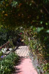 San José del Pacífico- Cabañas Camino al Cielo 4