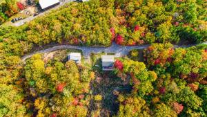 2 Next Door Cabins-10 min from Downtown- 2 Hot Tubs, 2 Grills, 2 Fireplaces