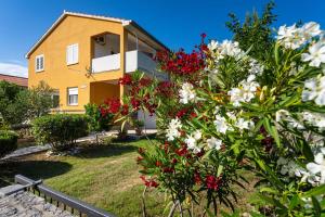 Apartment Agava-miran odmor uz borovu sumu