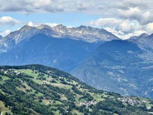 Appartements Residence Caillou - Le Caillou 10 - Studio avec vue montagne MAE-0841 : photos des chambres