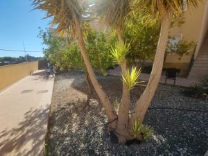 La Casita del Marqués
