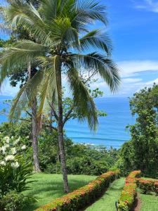 Tres Palmas Costa Rica