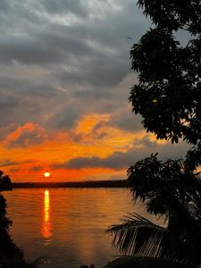 studio azul conforto