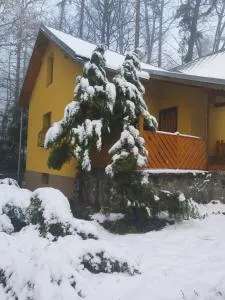 Chata nad kúpaliskom - Sliač