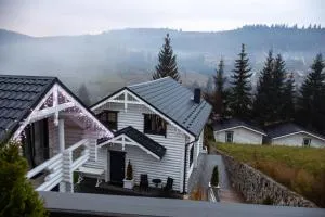 Villa Olexandr&Matvii - Polyanitsa Popovichevskaya