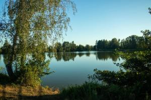 Jawja Przystań Gościnności