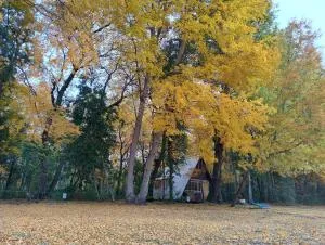 Fundo tricahue - 马乌莱