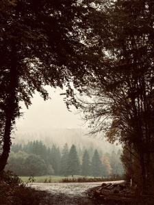 Superbe appartement au coeur du Jura