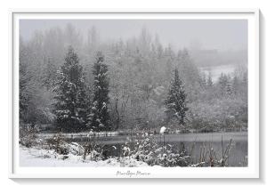 Superbe appartement au coeur du Jura