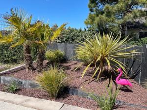 Jacuzzi & Sauna privatifs - Vue mer