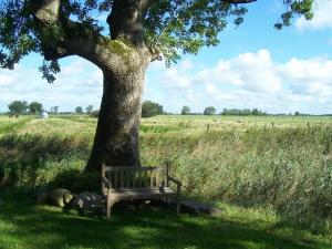 Frisian house Wallsbuell