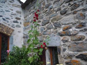 B&B / Chambres d'hotes Le Francillon : photos des chambres