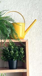 Espectacular departamentoestacionamiento, 3 TV’s