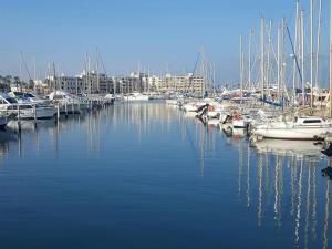 Appartements Studio ideal a 100m de la plage avec parking securise - FR-1-782-71 : photos des chambres