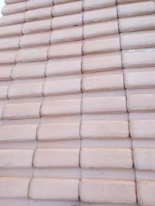 Jardim eden - Volta Grande