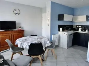 Studio moderne à Plouhinec, WIFI, parking, animaux acceptés - FR-1-479-184 - 拉尔莫普拉格