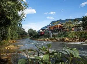 Le Gecko Tavan - Sa Pả