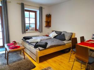 Apartmány Říčky III.