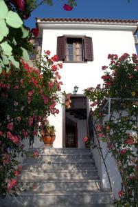 Islands Apartments Lesvos Greece