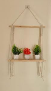 Sun Home Stays - Spacious Rooms - New Property - Pleasant Location