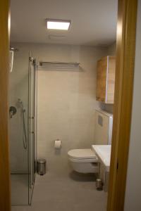 ENJOYHARRACHOV Atraktivní klidné studio 3 v centru Harrachova s parkováním, velkou terasou, Wifi-WLAN, SAT zdarma, možností dobíjení auta, výhledem do zahrady a na romantický kostelík jen 150m od lanovky