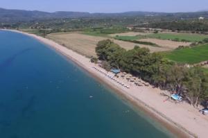 Aelia Guesthouse - Private Garden Retreat