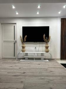 Pool House Gălăoaia-Cabană la poalele Munțiilor Călimani