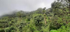 Spinson Home Stay