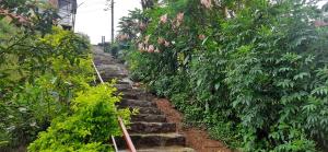 Spinson Home Stay