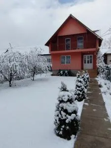 Casa Sandu - Vîgani