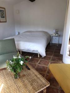 Appartements Mas du ciel en Cevennes : photos des chambres