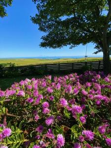 2 Bed Retreat with amazing see view